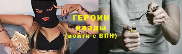 индика Пенза
