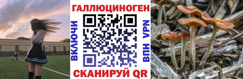 площадка Telegram  Арзамас  Псилоцибиновые грибы GOLDEN TEACHER 
